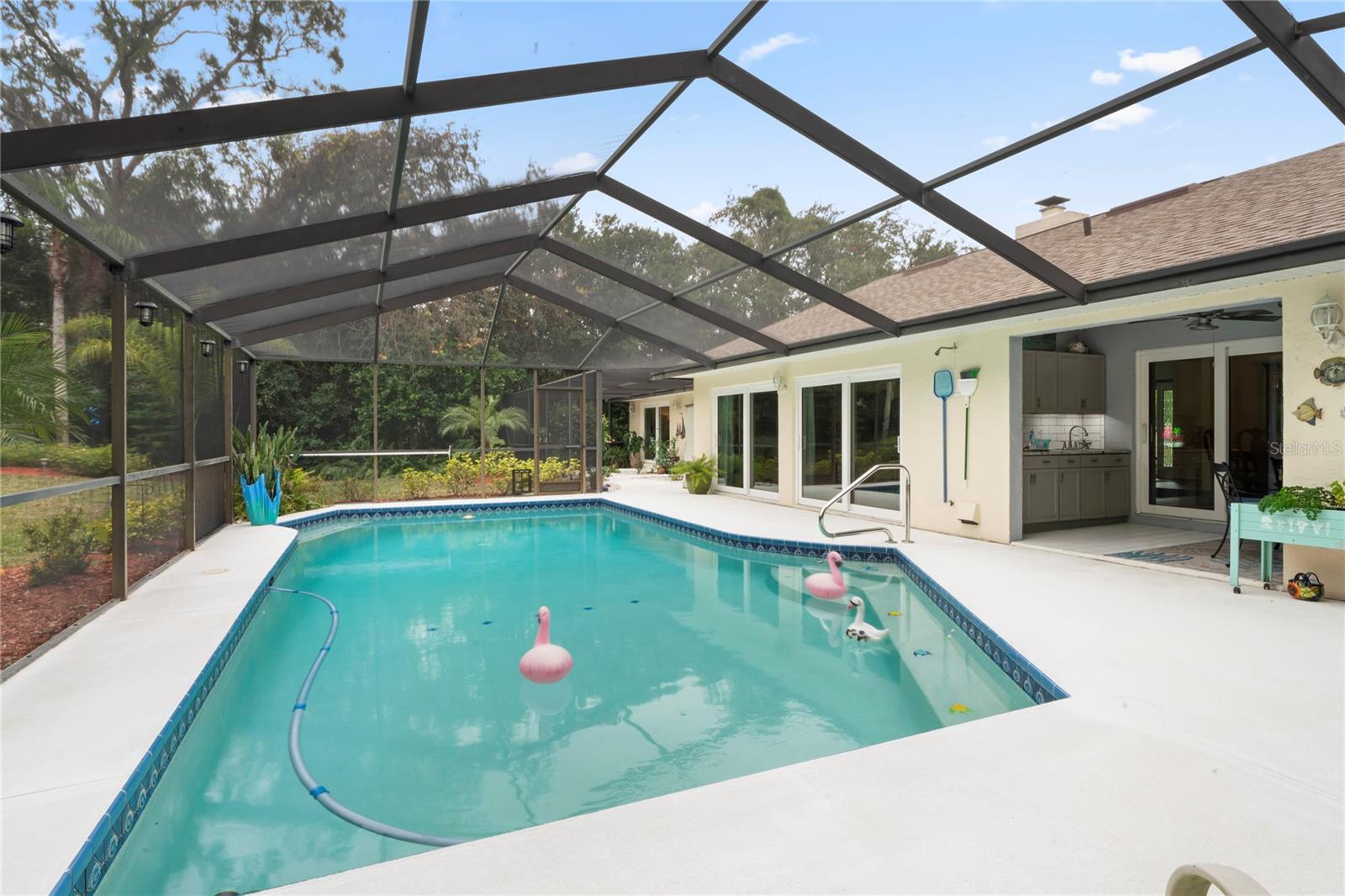 Large Saltwater Pool