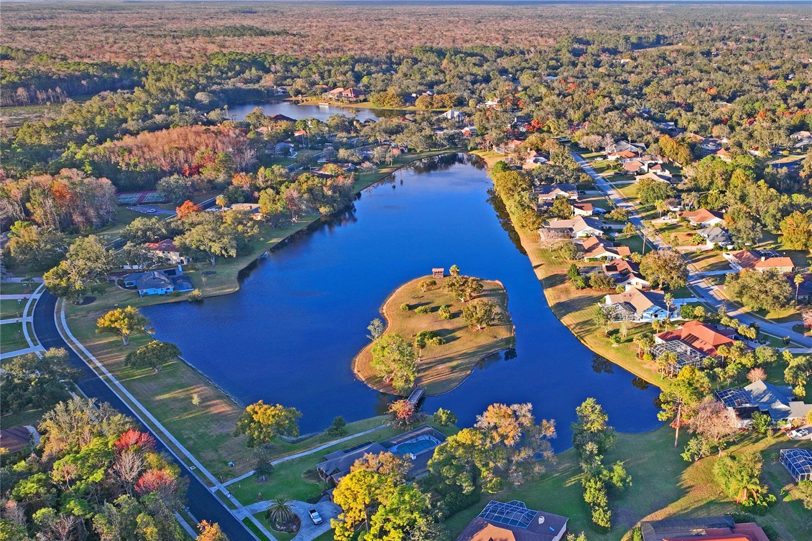 Community Lake View