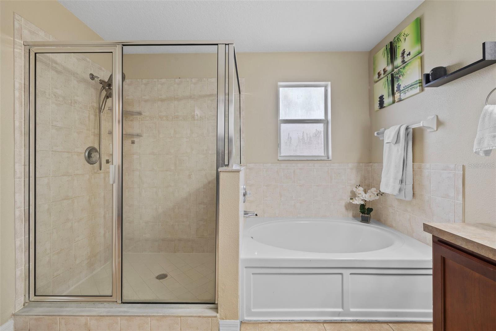 Walk in Shower with Garden Tub