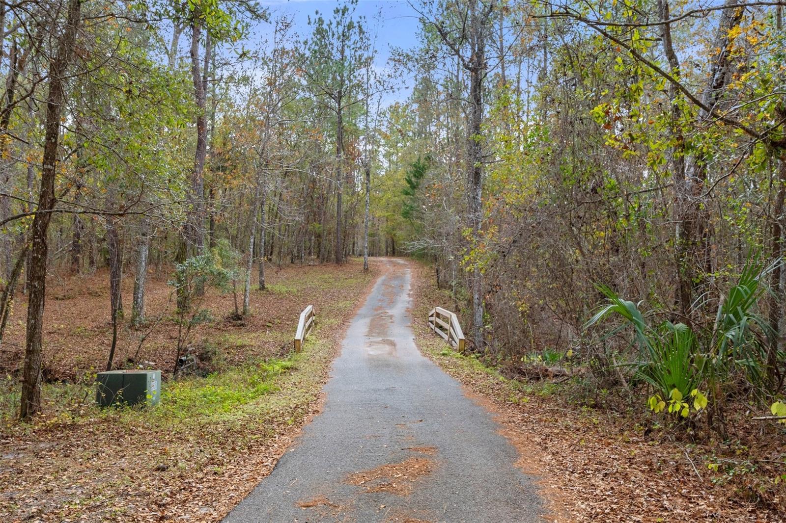 Enter down the long winding wooded driveway.