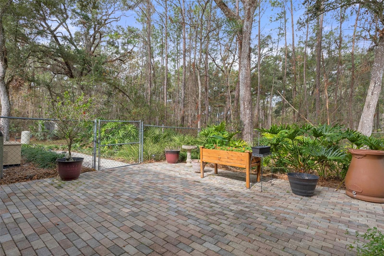 Back patio-perfect garden spot