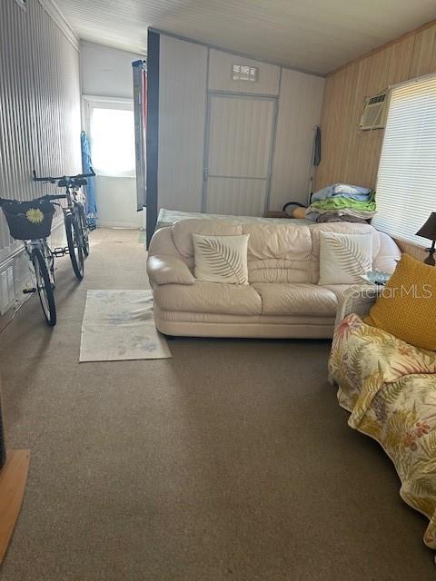 Large Florida room and utility shed with washer and dryer