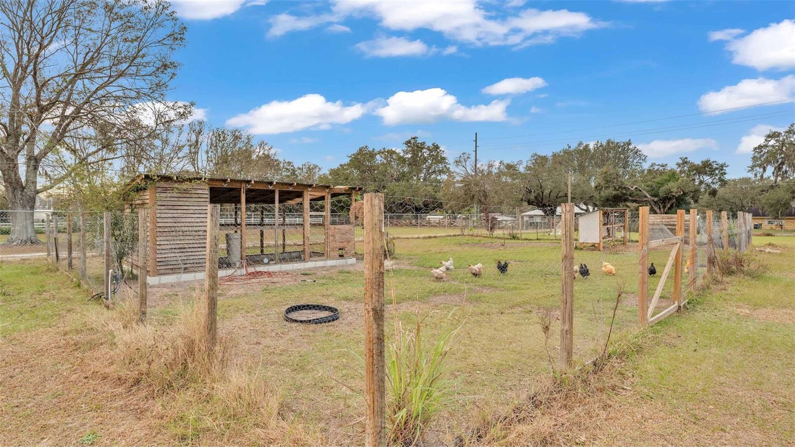 CHICKEN COUP & RABBIT HUT WITH IRRIGATION