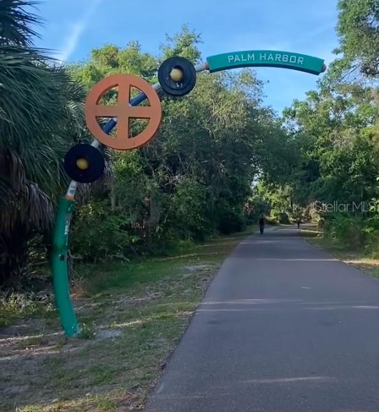 Over 40 miles of bike and walking trail on the Pinellas Trail, stop at local restaurants or take the trail to the beach.