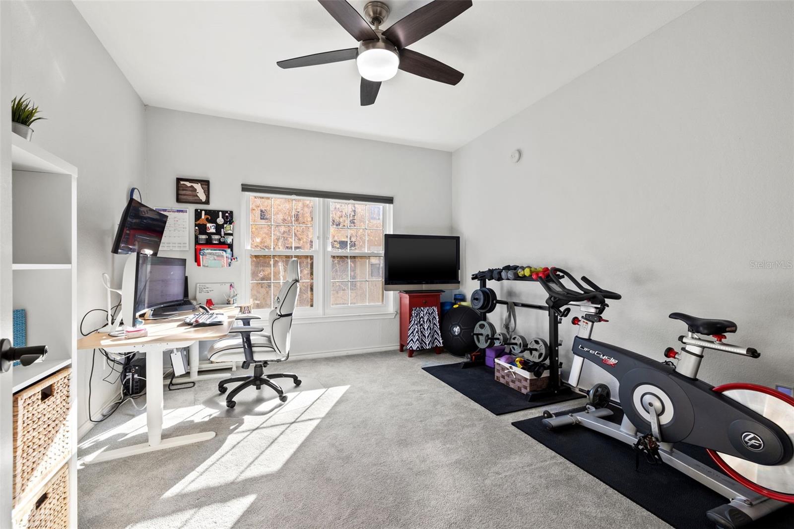 Bedroom 2 - Flex office and workout room