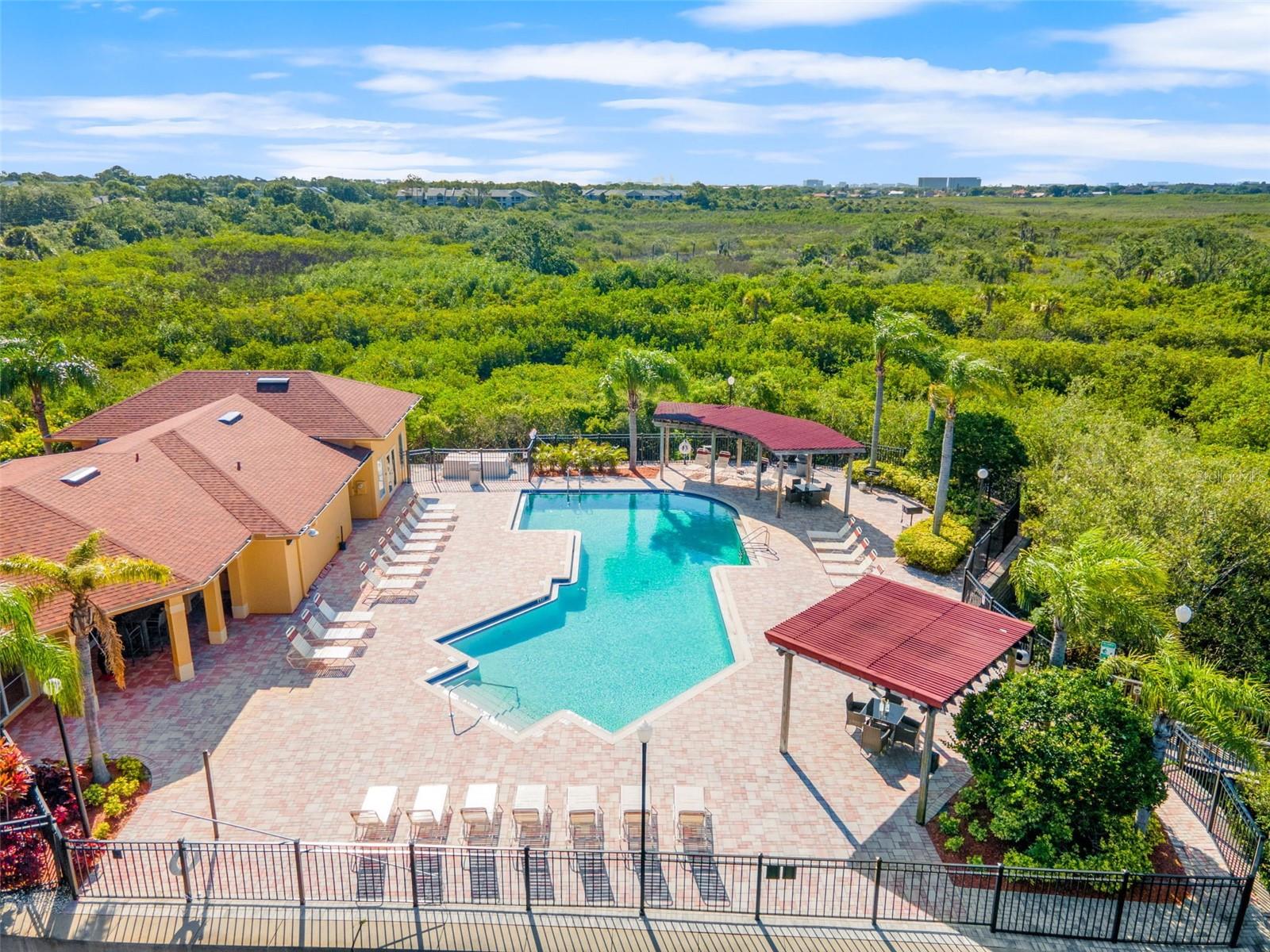 Beautiful community pool surrounded by nature.