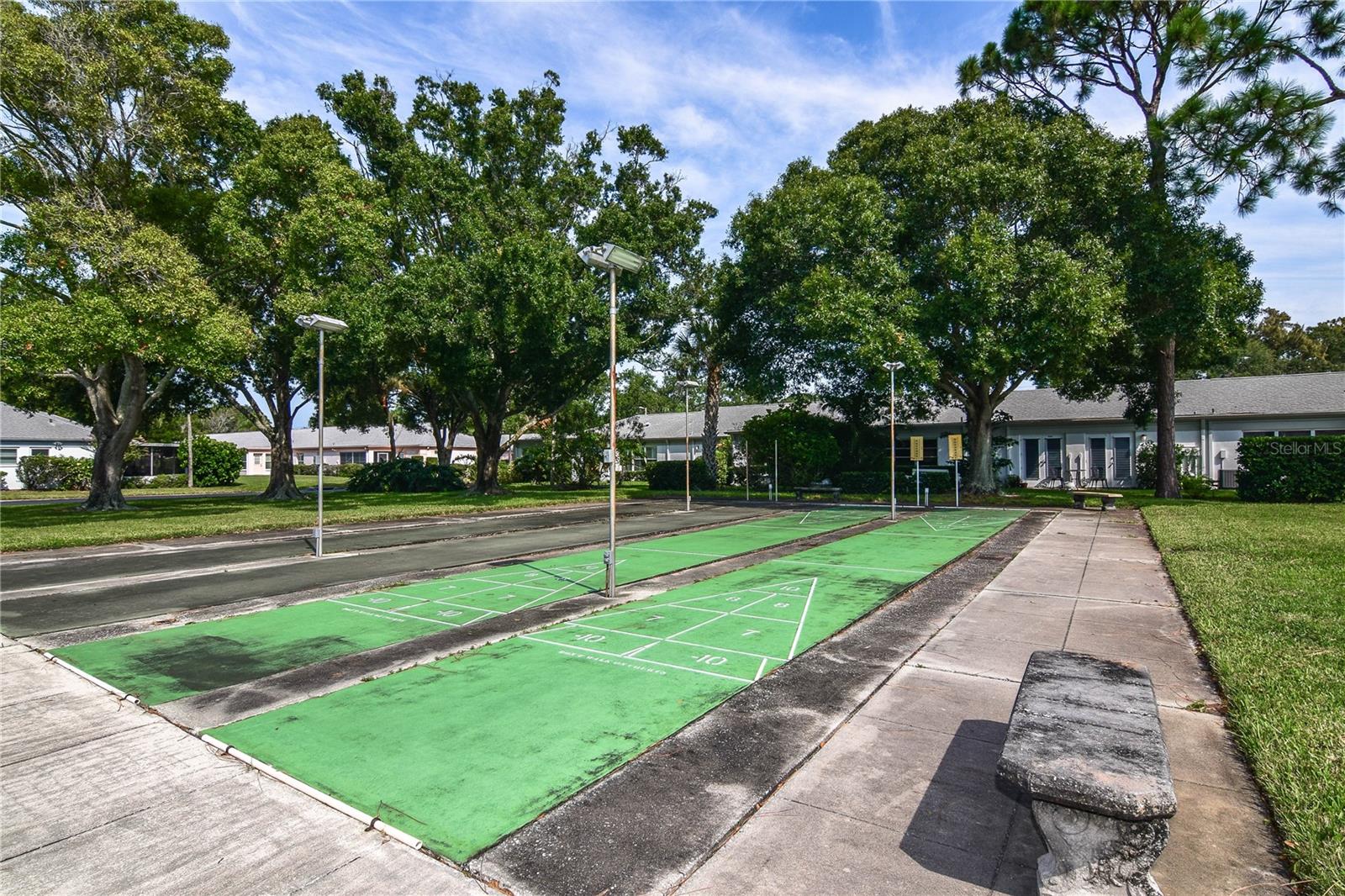 Shuffleboard Court