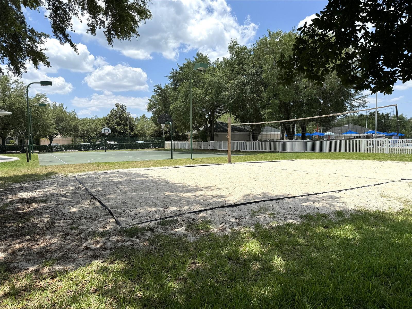 Volleyball and Basketball