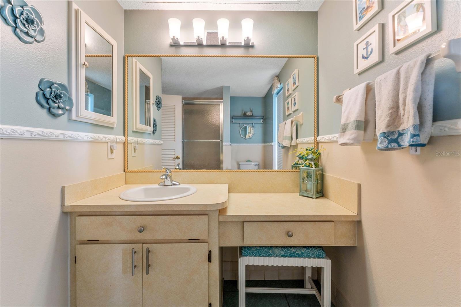 Sink and Vanity Space!