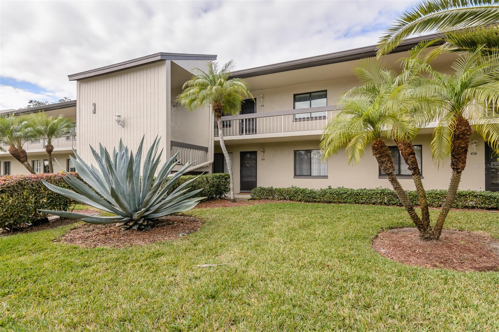 Florida Plantings Right Outside Your Front Door