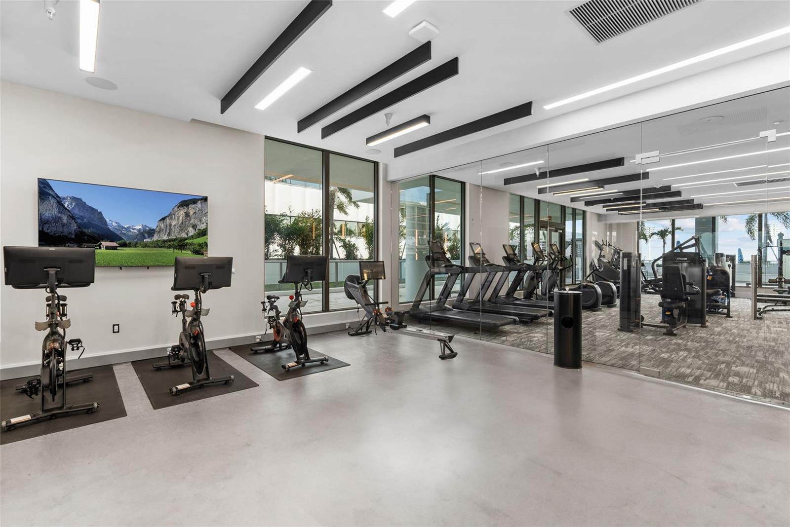 Fitness Studio / Training Area