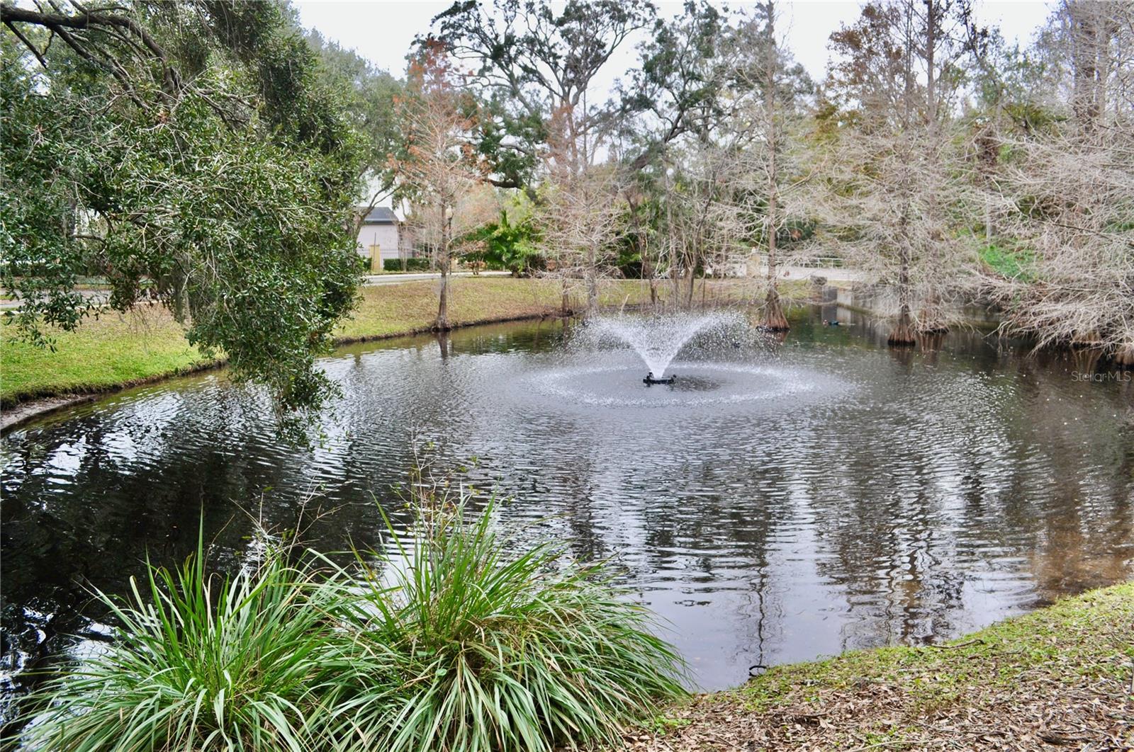 pond view outside garage