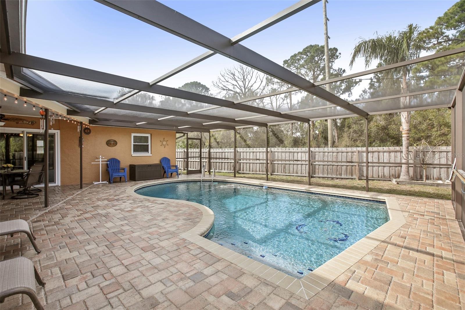 Dolphins on the bottom of your pool!