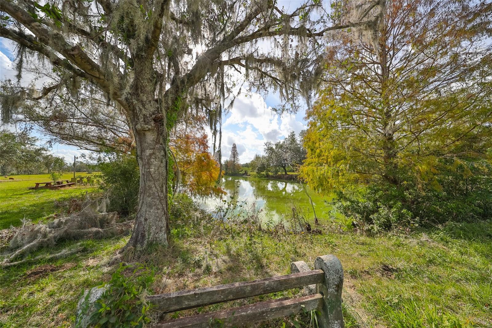 Pond View