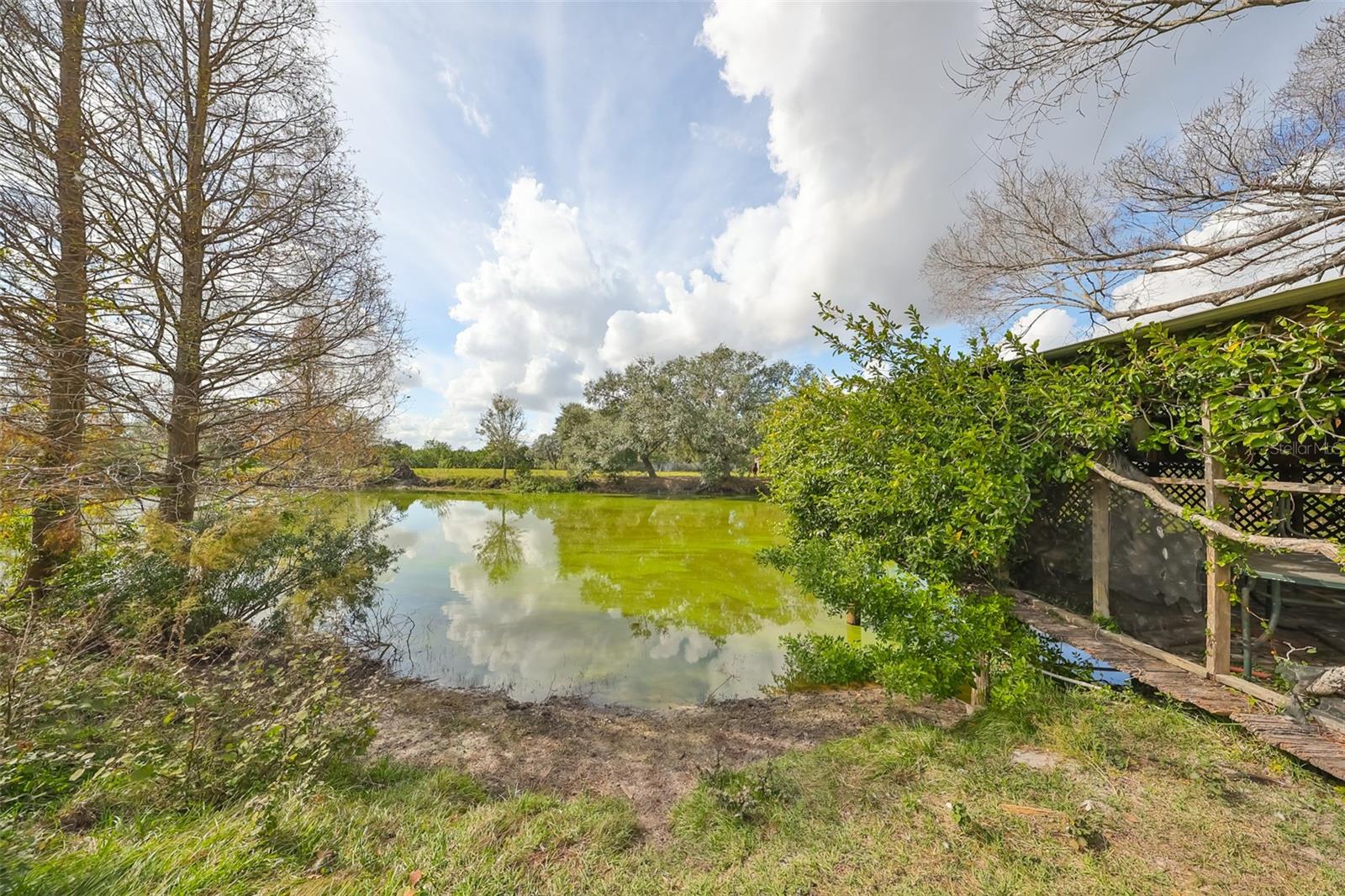 Gazebo over pond