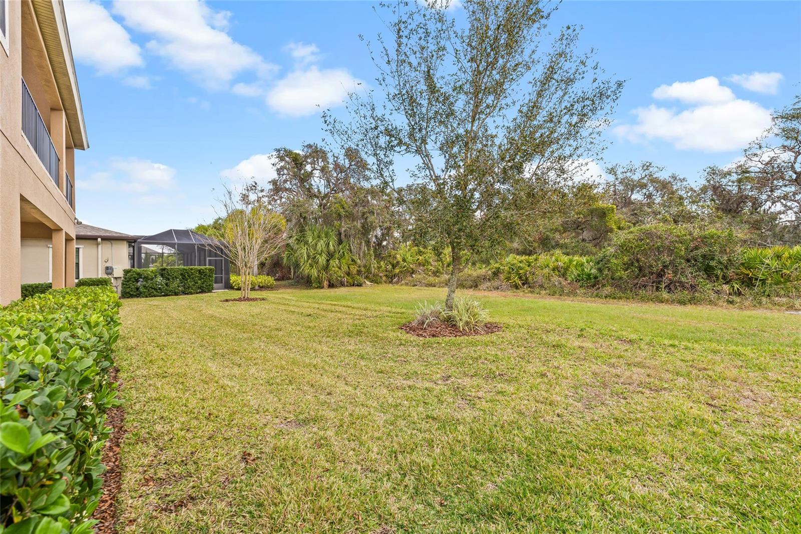 Large backyard overlooking a conservation - no rear neighbors!