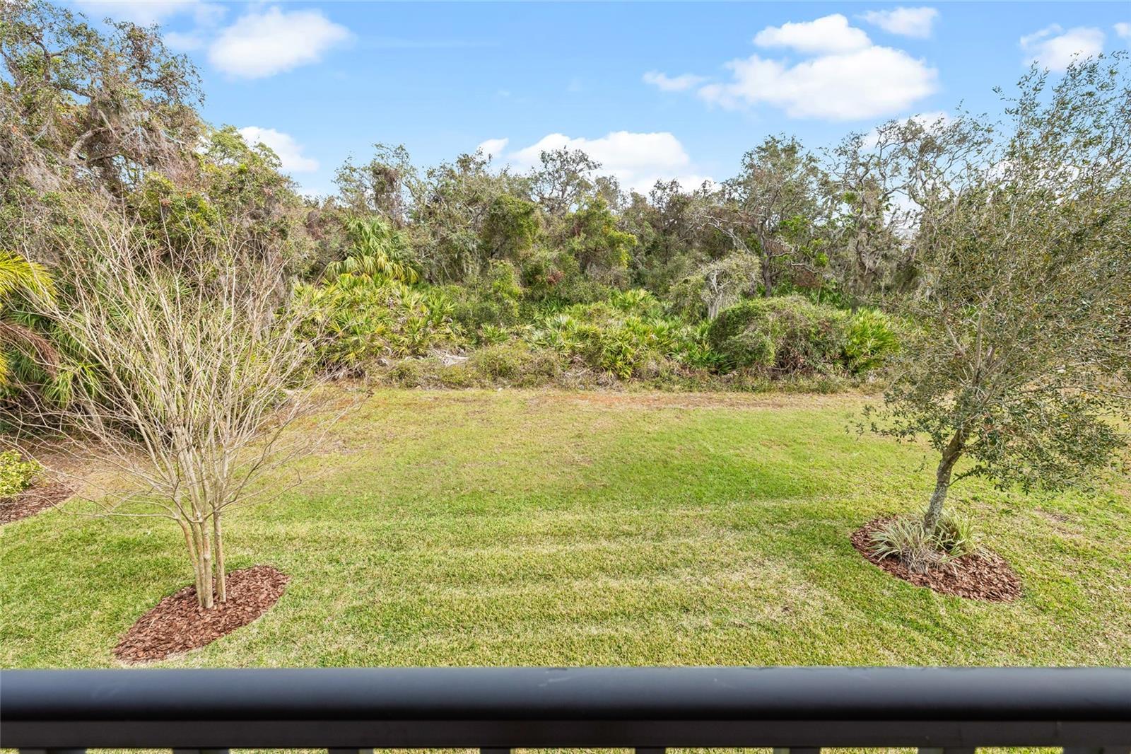 2nd floor balcony overlooking conservation area in the backyard with privacy!