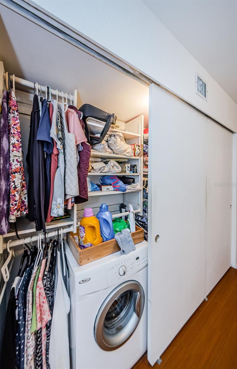 Primary closet with washer