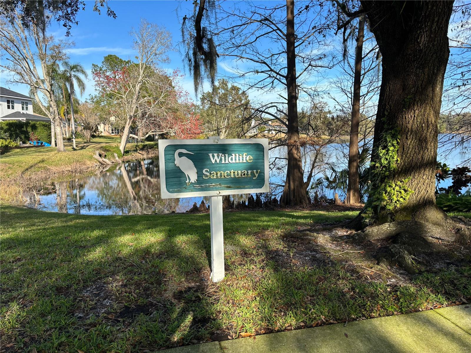 Windsor Park Lake