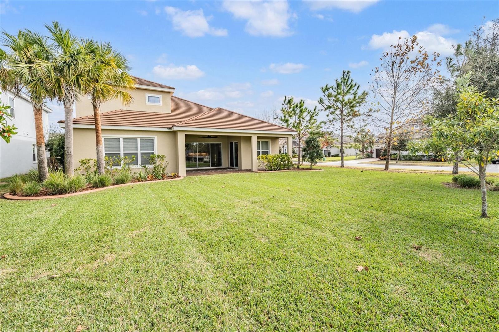 Beautiful large back yard