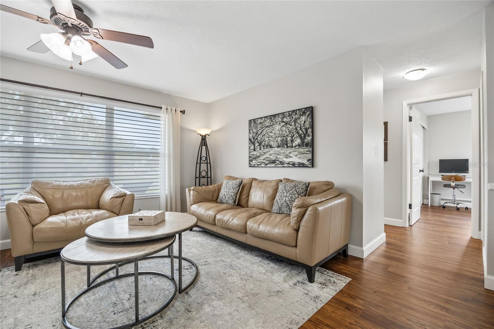 This view of the Living Room also shows the hallway leading to the two bedrooms and bathroom.