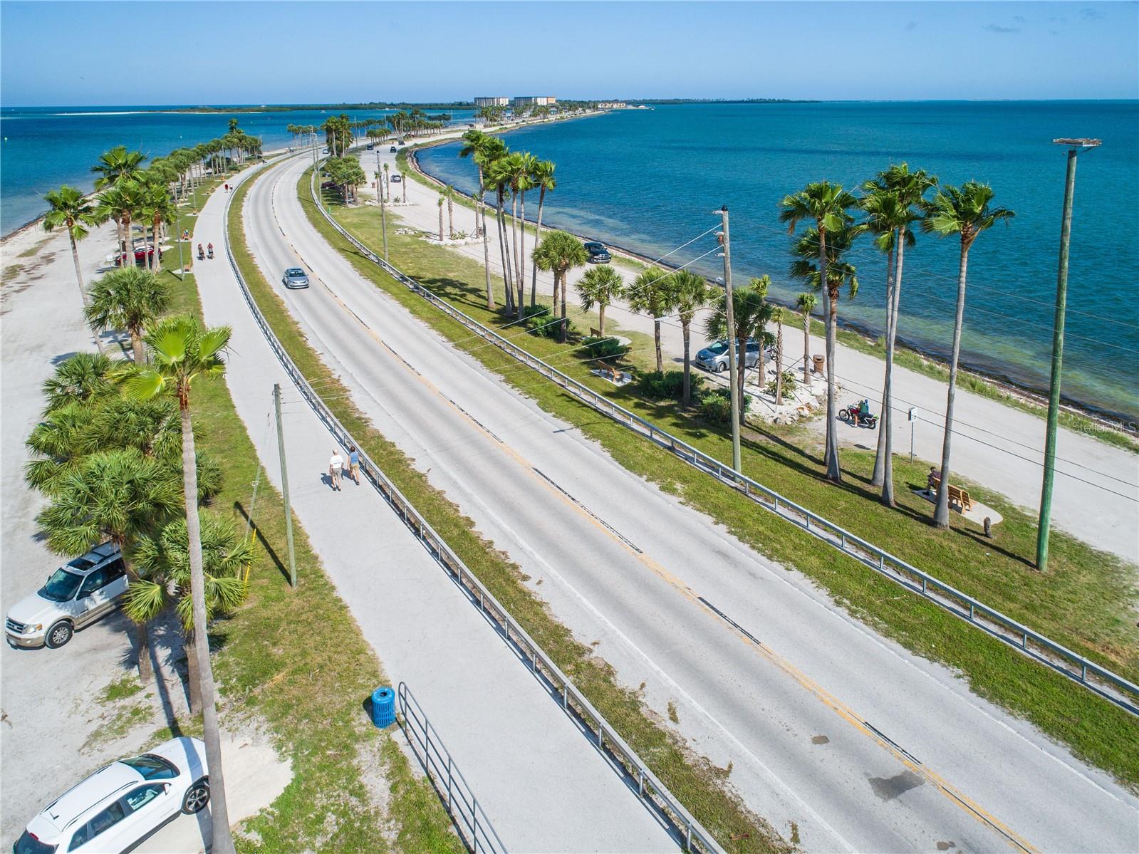 Iconic Dunedin Causeway