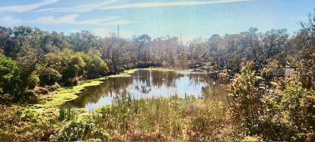 View of Pond from Screened-in lanai & Living Area in this unit