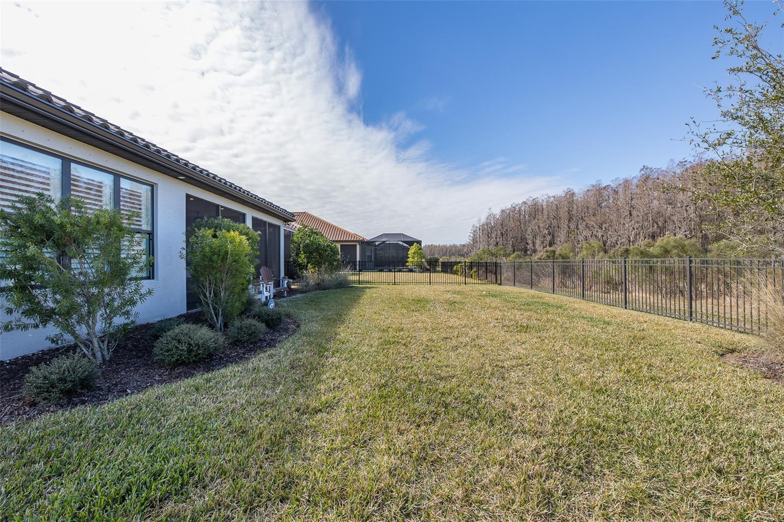 Fully Fenced Back Yard!