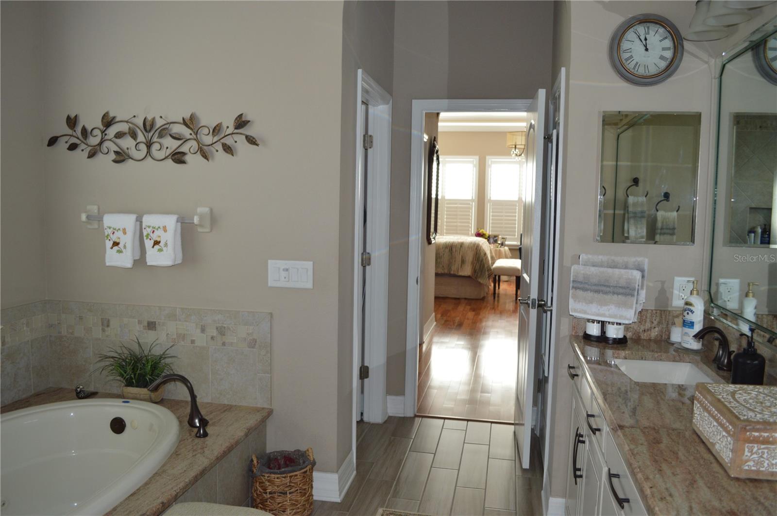 View from shower to master bedroom.