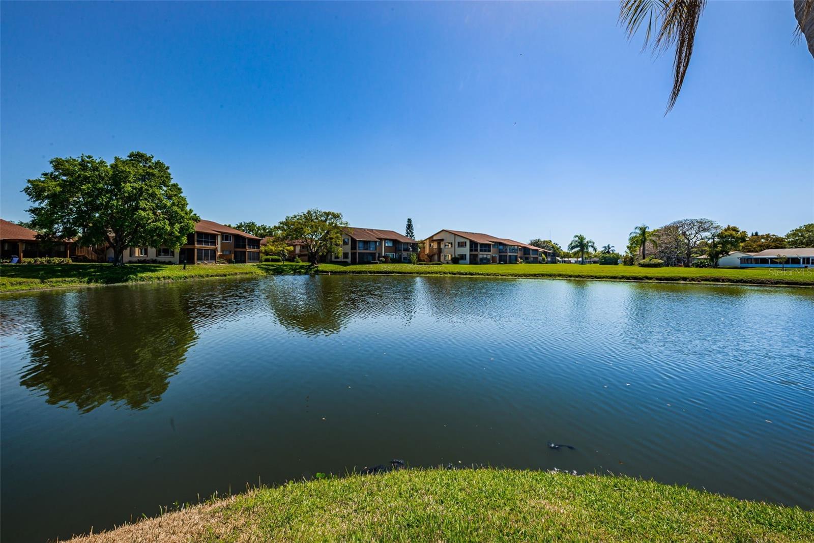 Beacon Lakes 55+ Common Area