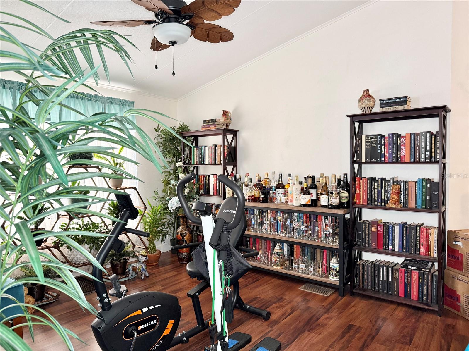 Den/Bonus Room - Ceiling Fan and Laminate Floors