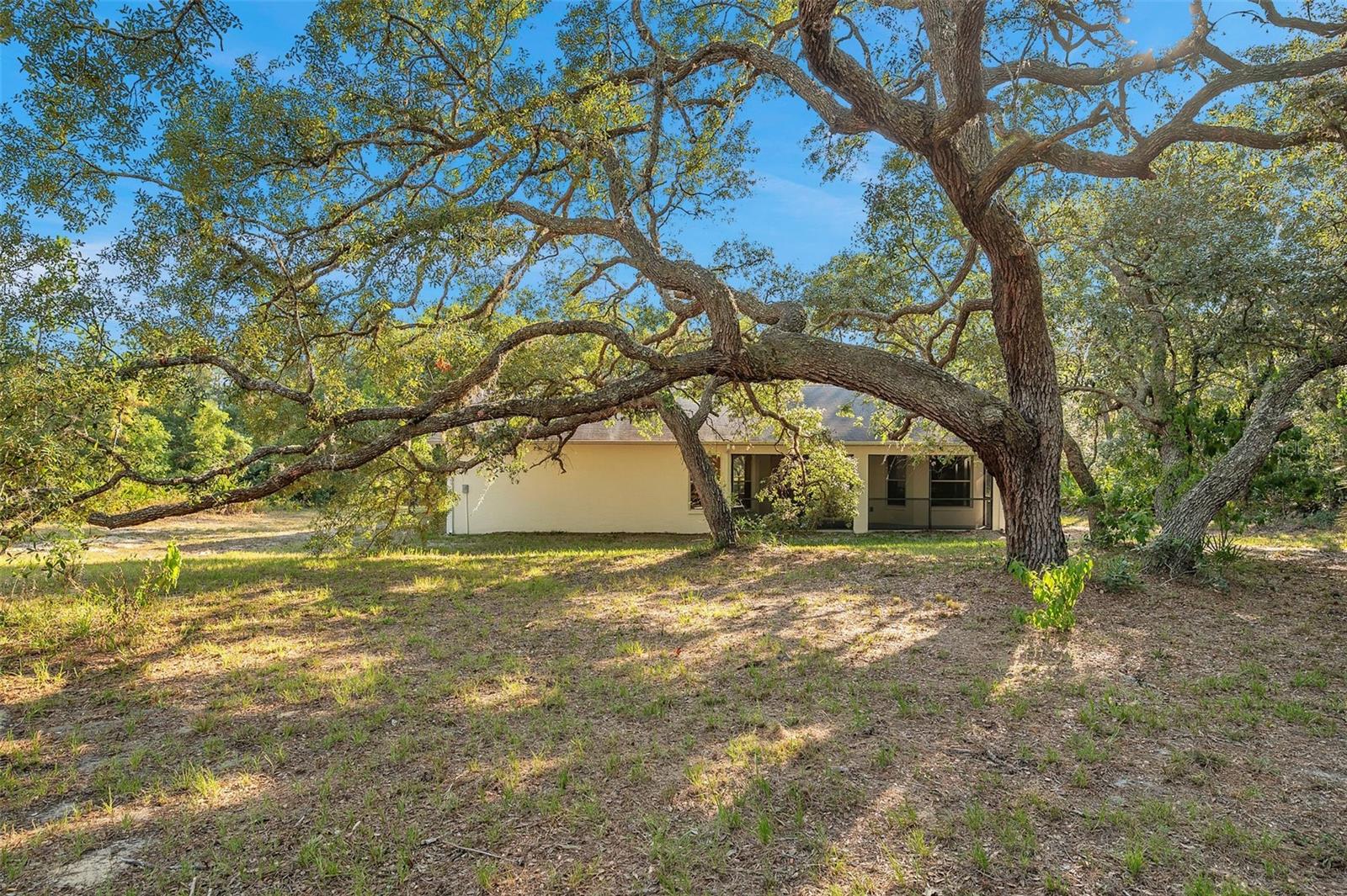 Looking from the backyard toward the home.