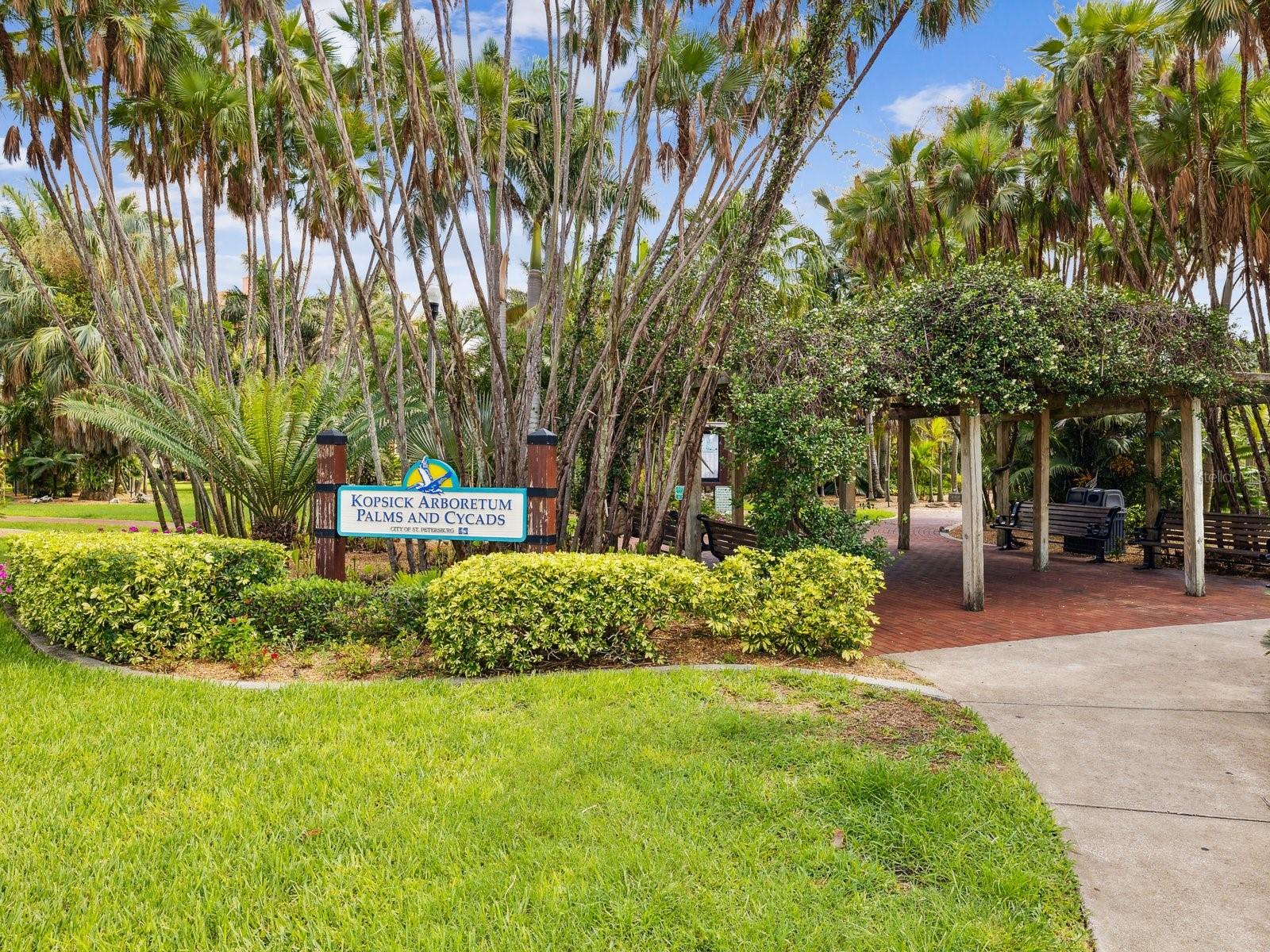 Take a beautiful walk Kopsick Arboretum Palms & Cycads.