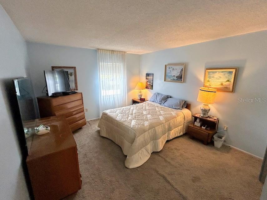 Primary bedroom with walk-in closet