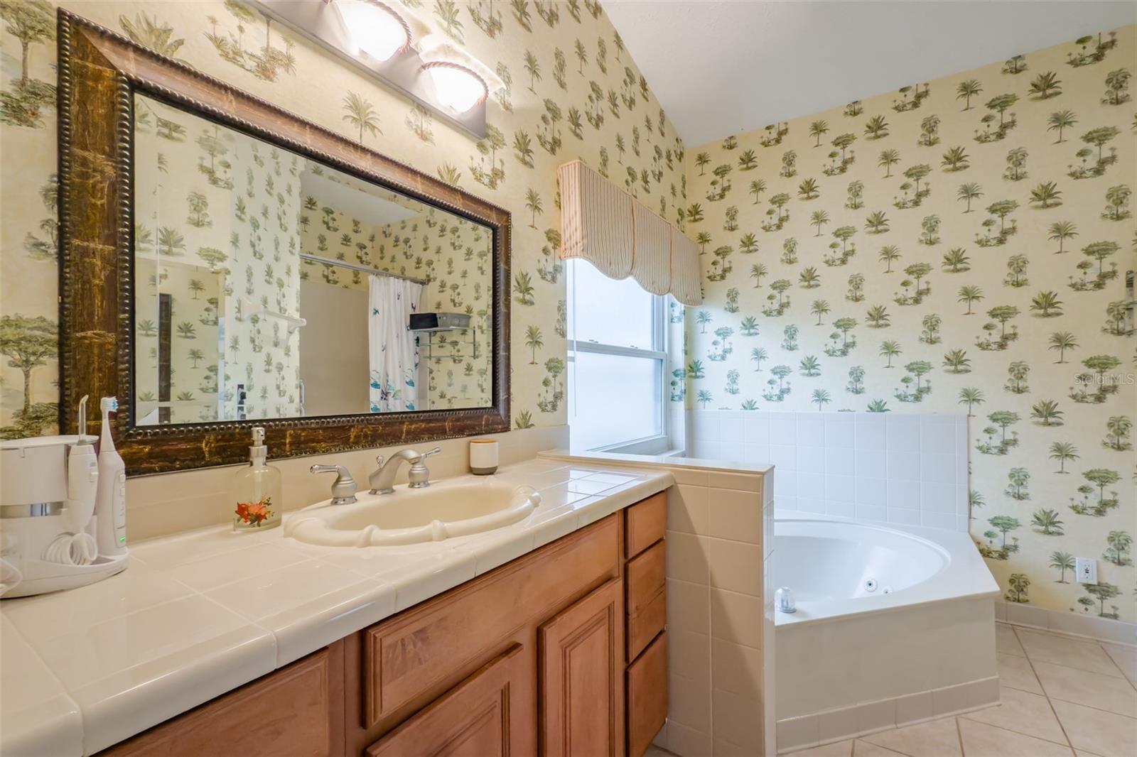 4228 Spring Way Circle, Valrico, Fl 33596 - Master Bath