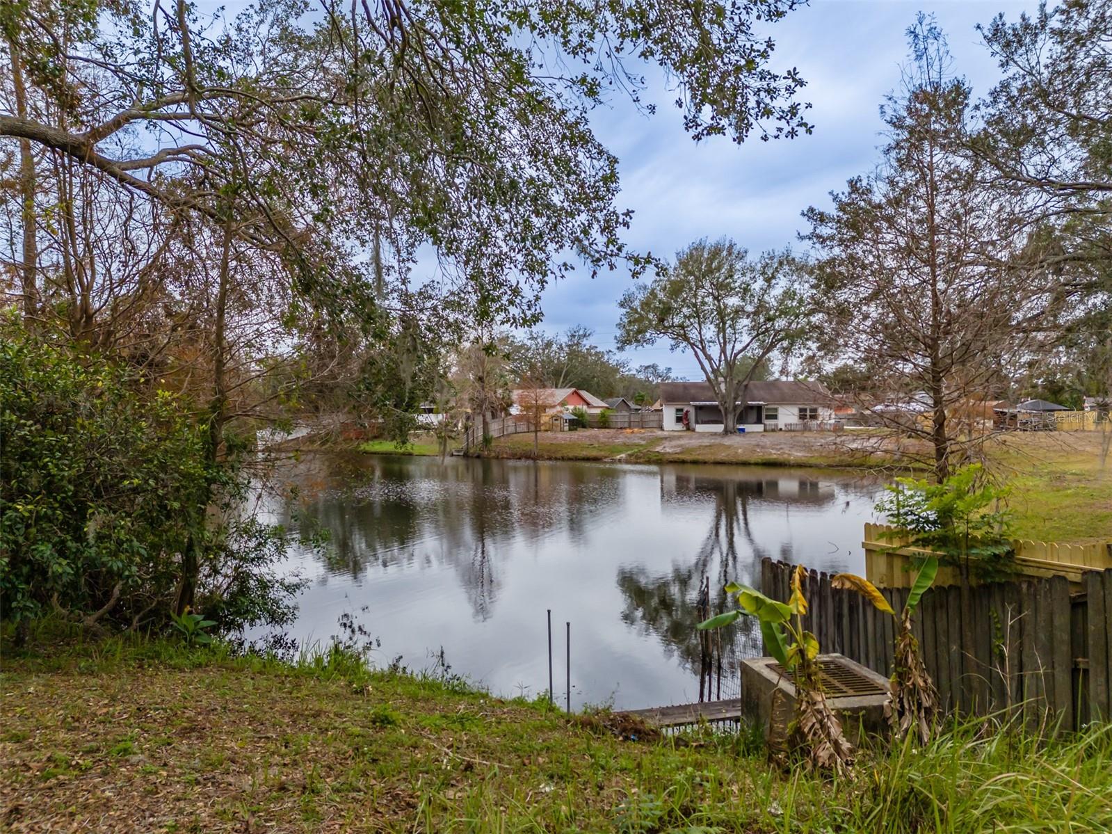 4228 Spring Way Circle, Valrico, Fl 33596 - Pond view