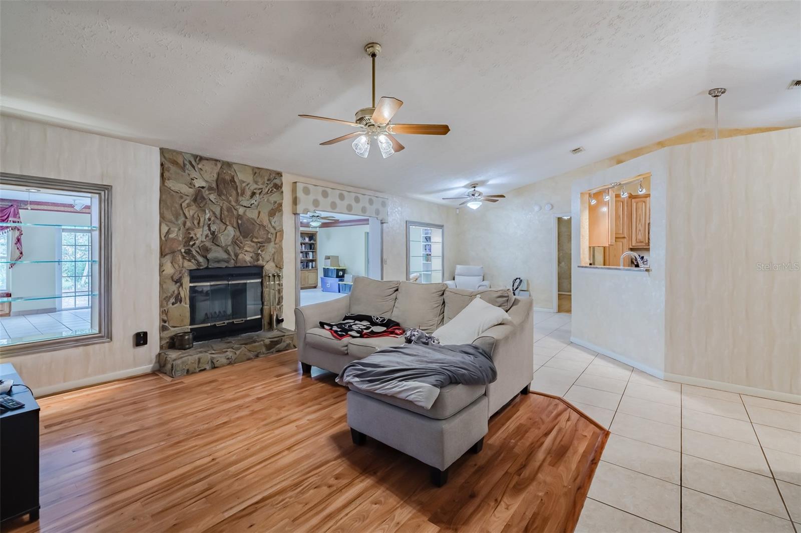 4228 Spring Way Circle, Valrico, Fl 33596 - Living room/fireplace