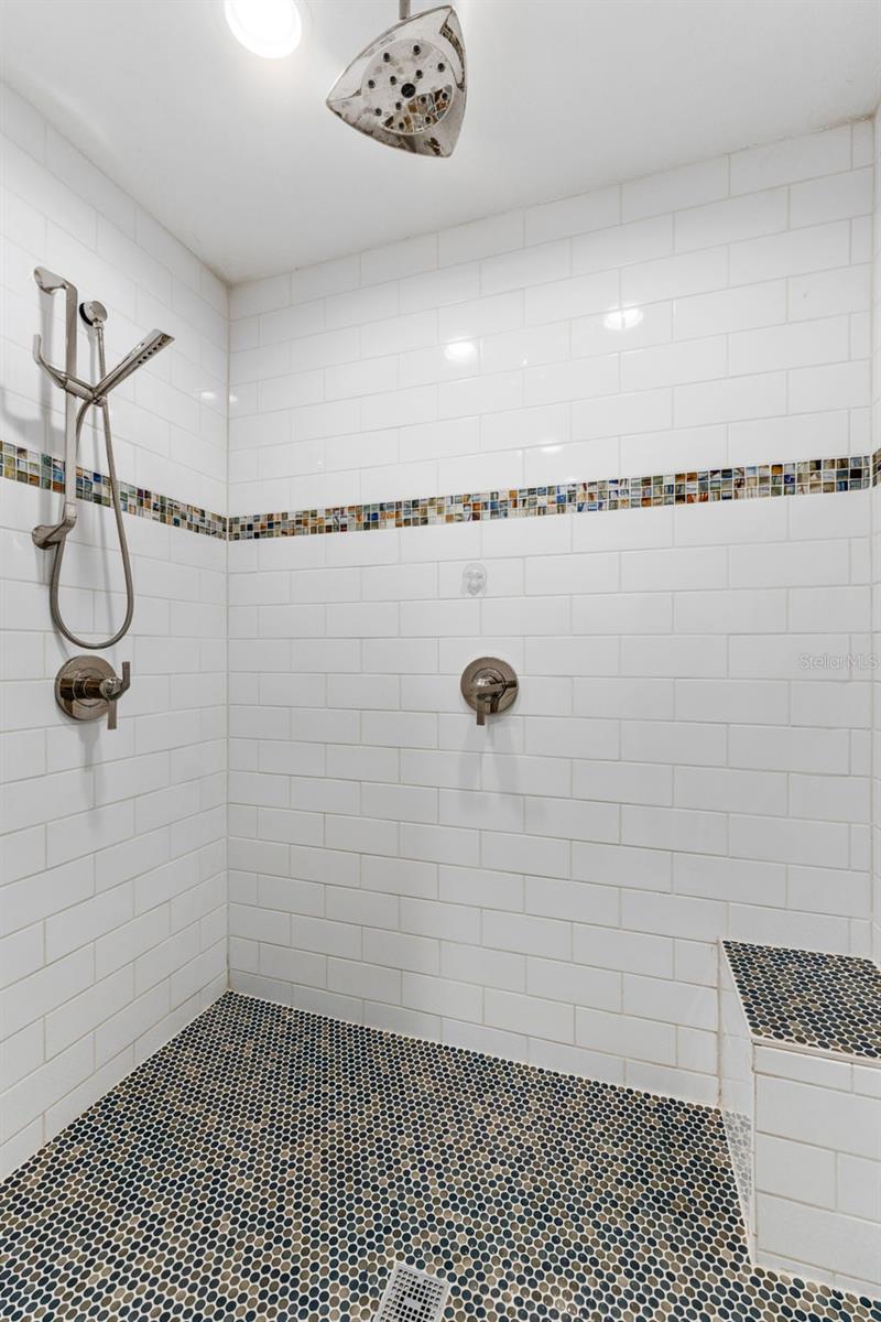 Primary bathroom shower