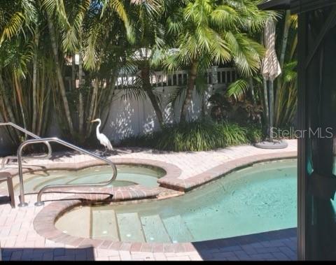 Egret visiting in the Backyard Oasis