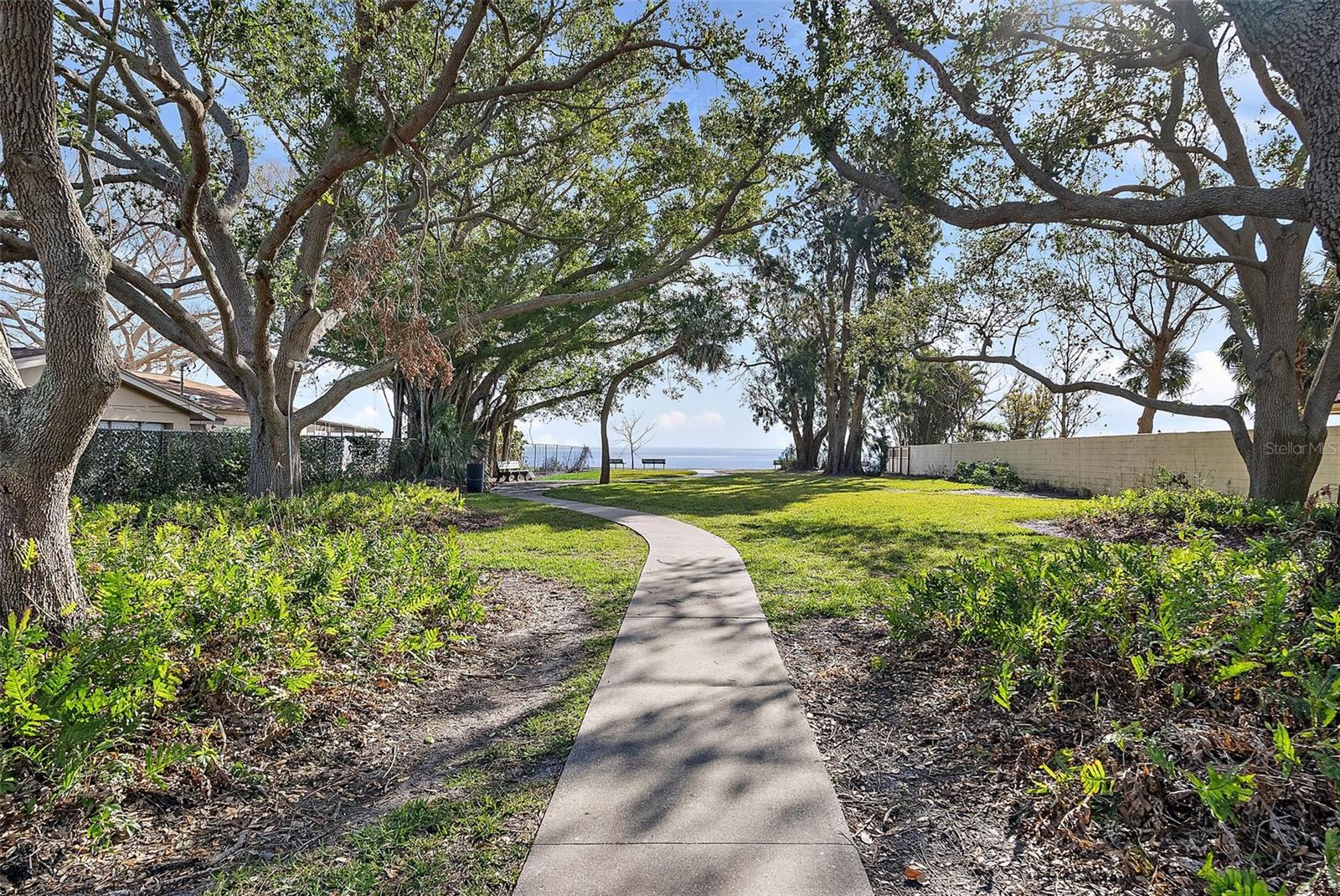 Dophin Park Walkway to the Bay