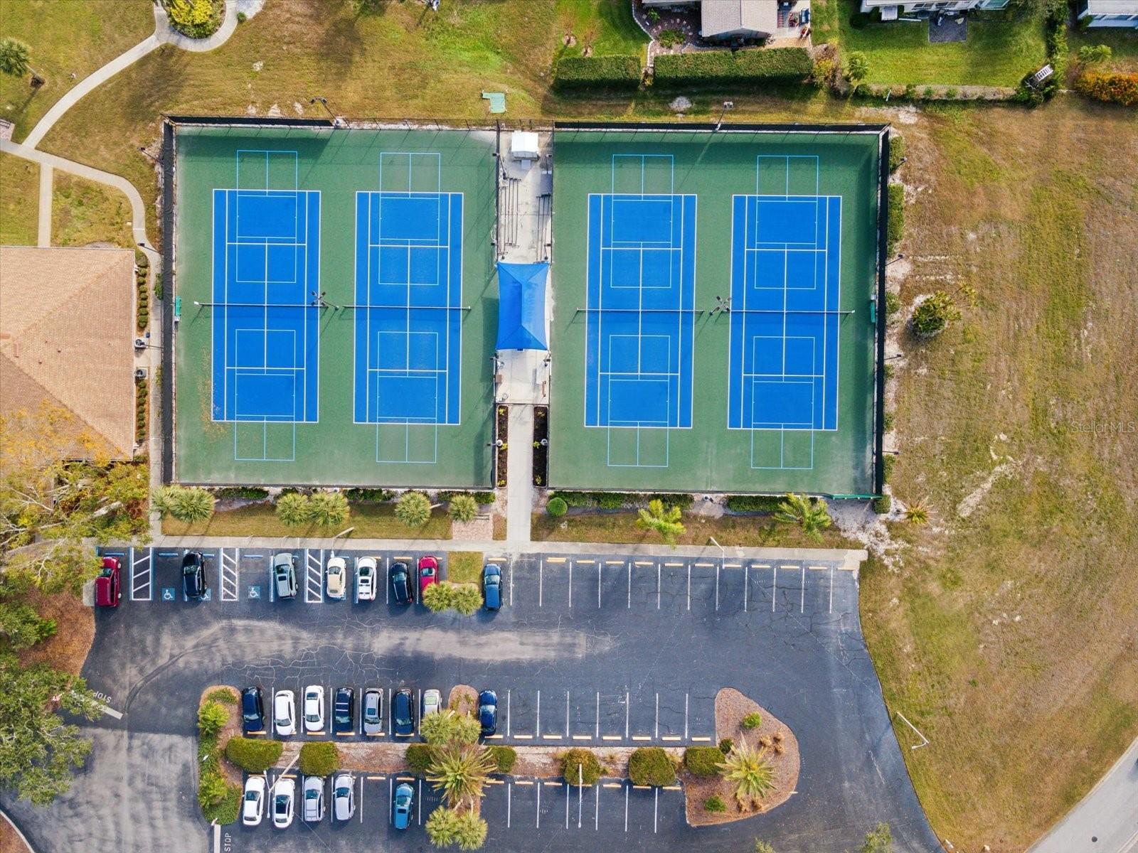 Pickle Ball for fun and league Play