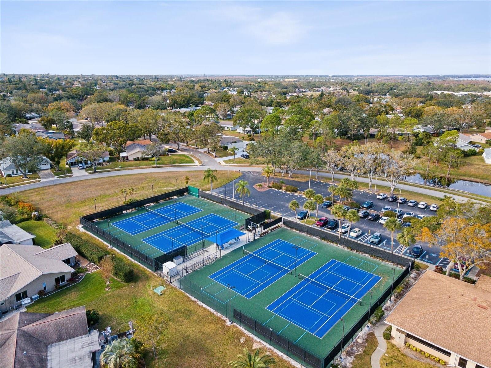 Pickle Ball for fun and league Play