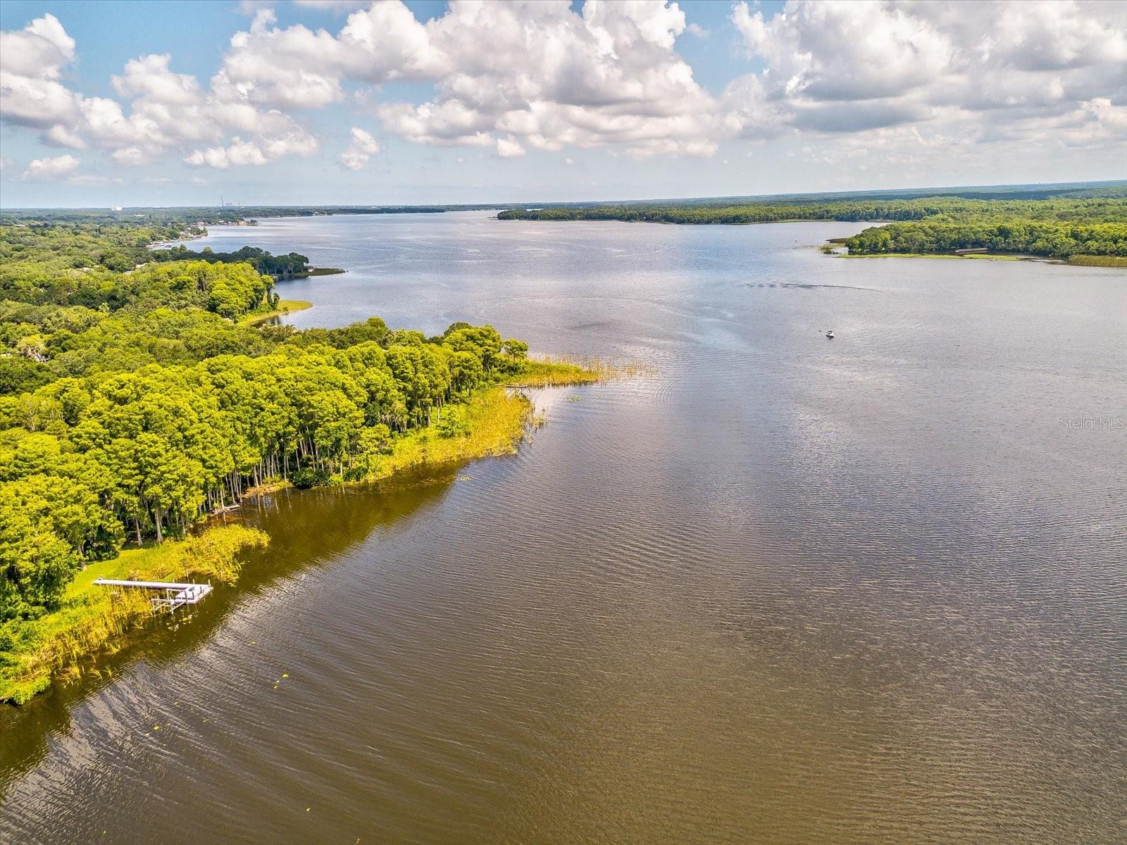 Lake Tarpon