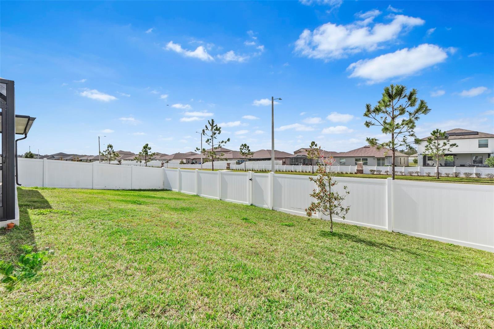 Vinyl fenced back yard  13557 Willow Bluestar Lp, Riverview, FL 33579