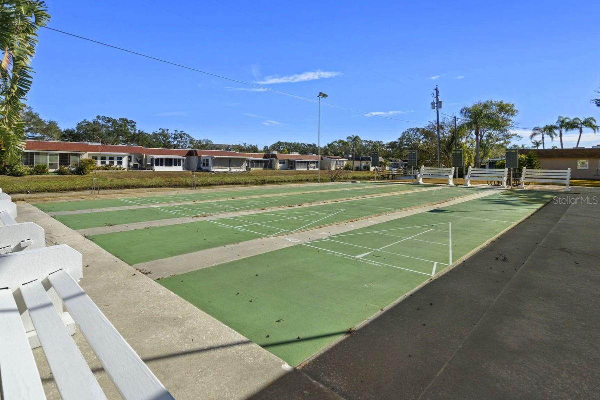 Shuffleboard