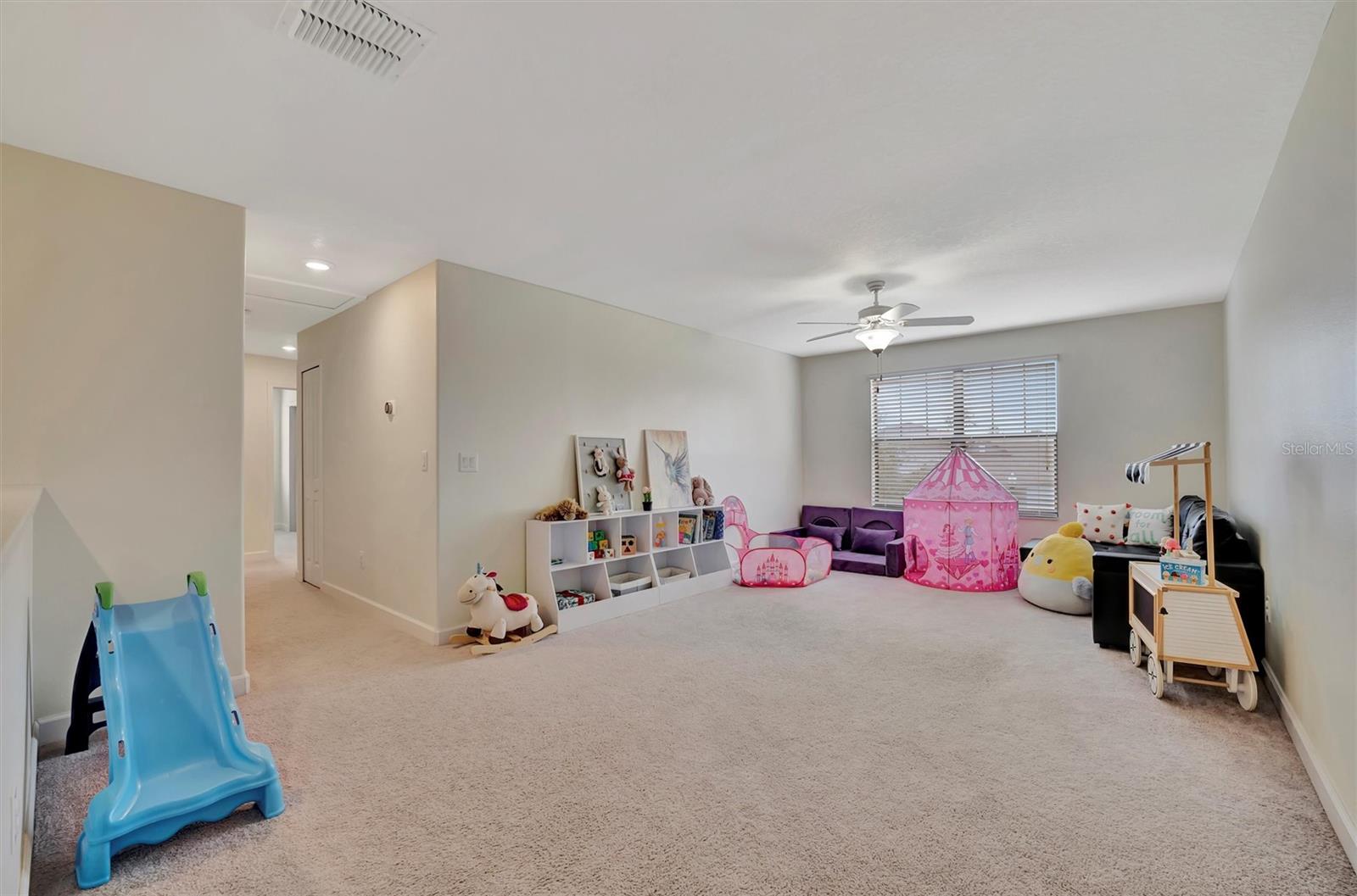 Loft/Entertainment Room