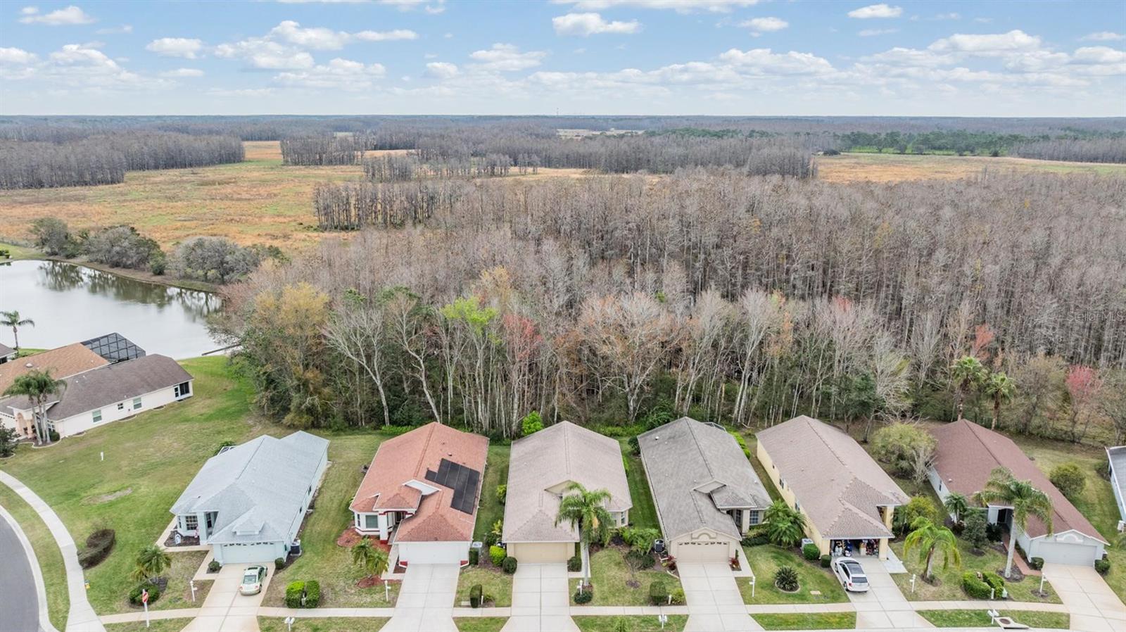 Sought-after backyard conservation view