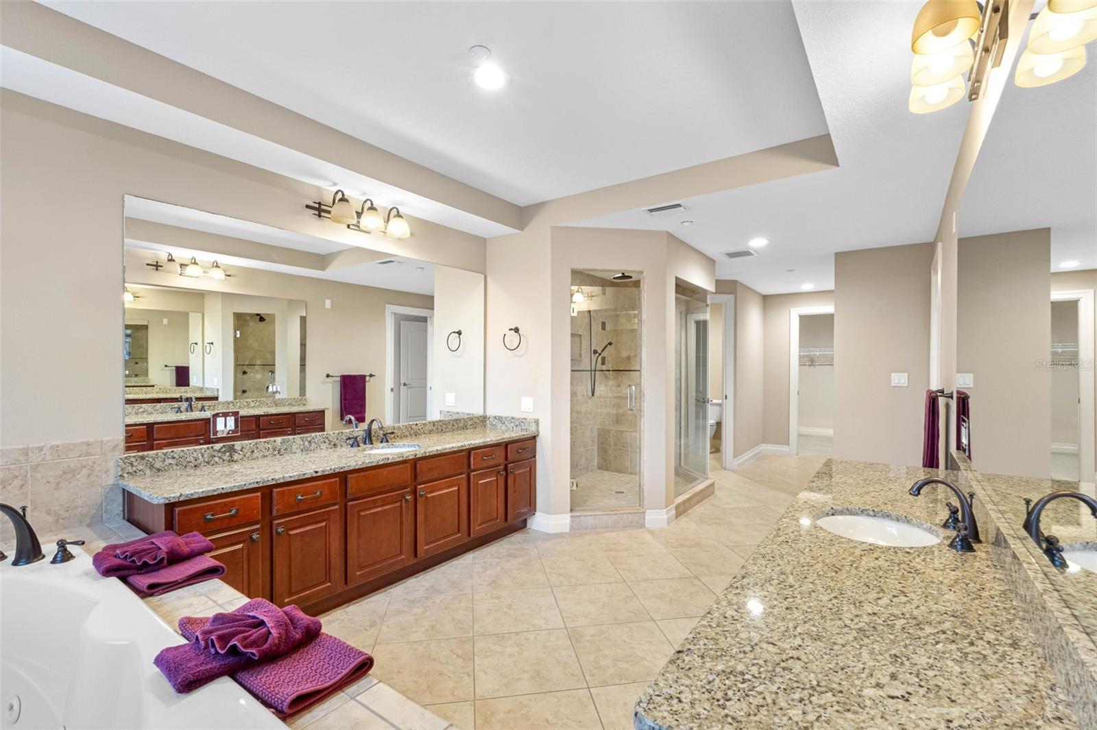 ... Master Bathroom Area..  4' x 8' Walk In with Shower Bench - Privacy Room - Linen Closet on Right - Large Walk In Closet.