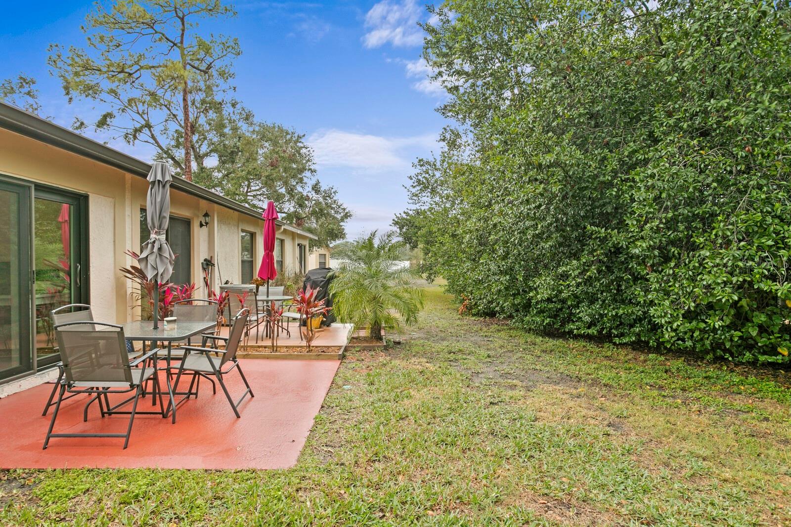 Lots of greenery in the backyard