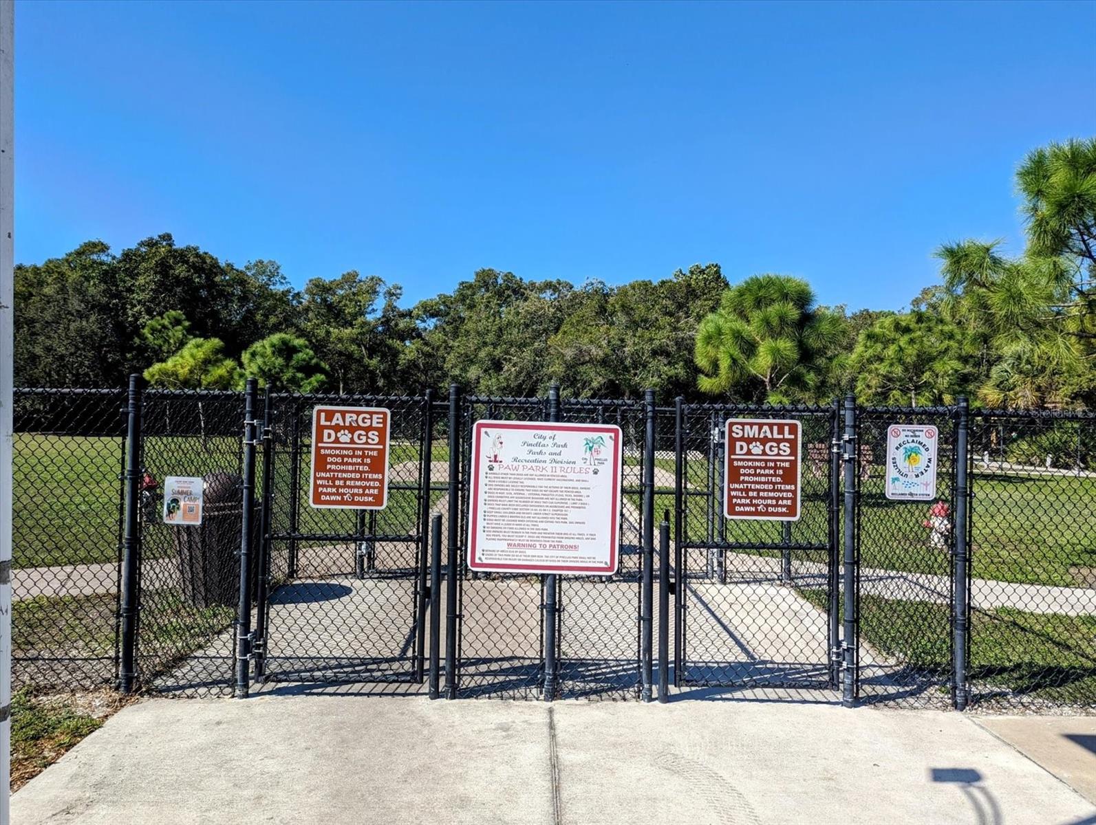 Dog Park at Helen Howarth Park across the street